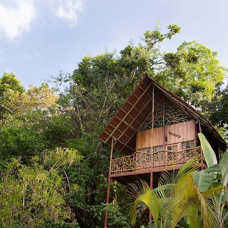Bio Thermales Hot Springs Vila Palmera Exterior foto