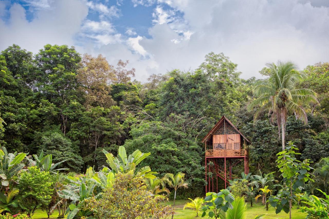 Bio Thermales Hot Springs Vila Palmera Exterior foto